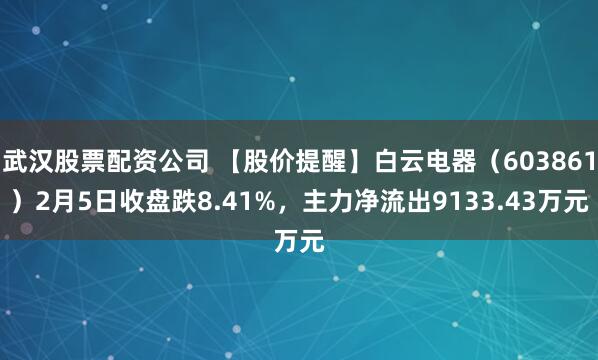 武汉股票配资公司 【股价提醒】白云电器（603861）2月5日收盘跌8.41%，主力净流出9133.43万元